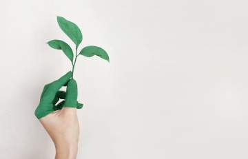 Bioéthanol : un carburant alternatif pour une mobilité durable Bioéthanol : un carburant alternatif pour une mobilité durable
